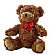 Adorable Plush Bear – A Flower 4 Us, El Paso TX