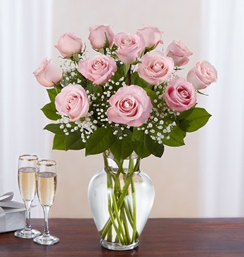 1 DZ Rose Elegance premium  Long stem Pink